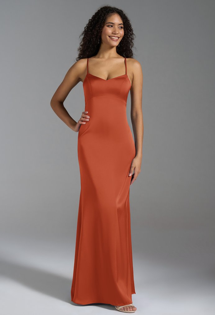 AW Shane Dress